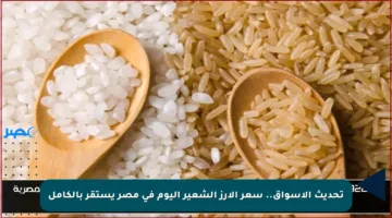 تحديث الأسواق.. سعر الأرز الشعير اليوم في مصر يستقر بالكامل